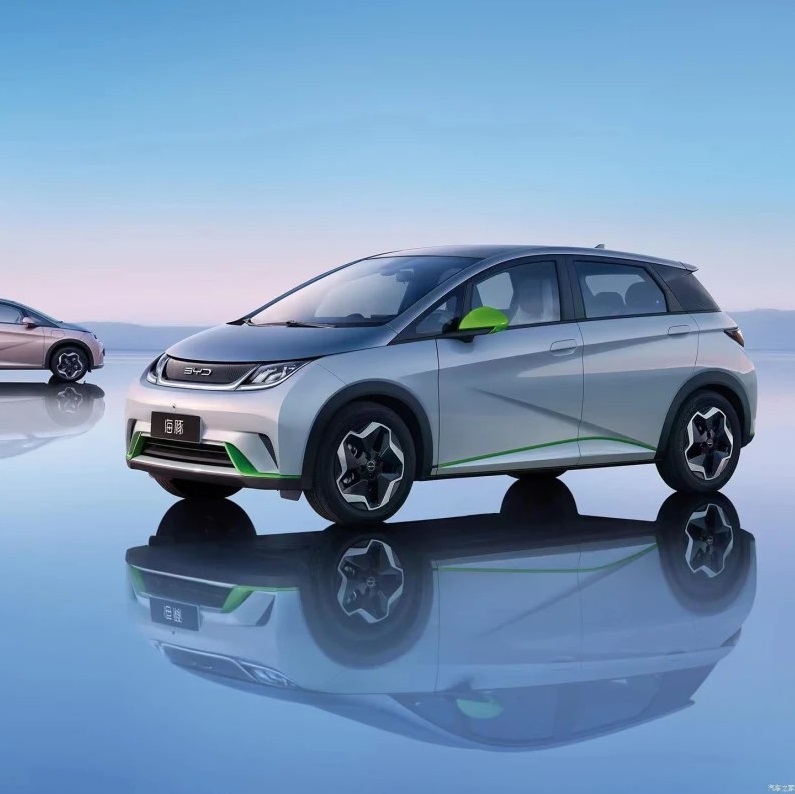 New Energy EV 401 km BYD Mini Electric Car