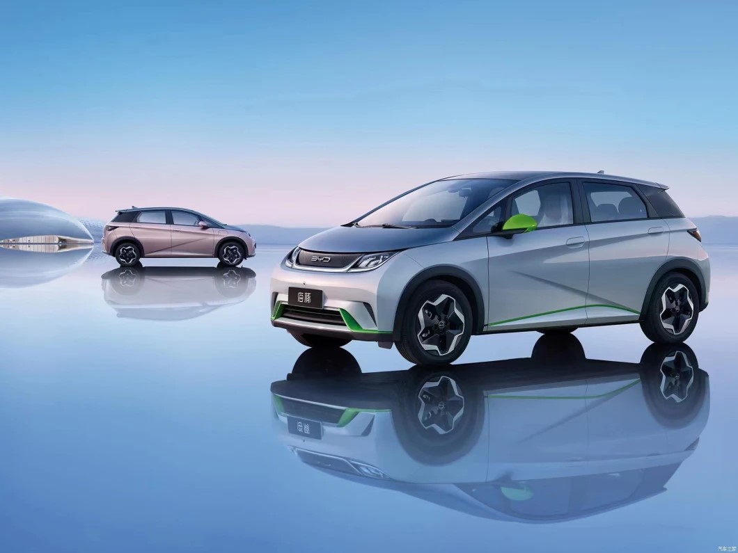New Energy EV 401 km BYD Mini Electric Car
