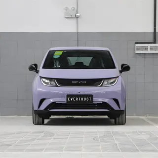 2023 New Energy Byd Mini Haitun Byd Electric Vehicle 401km