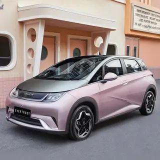 BYD Haitun Mini Electric Car EV, 5 Doors, 5 Seats