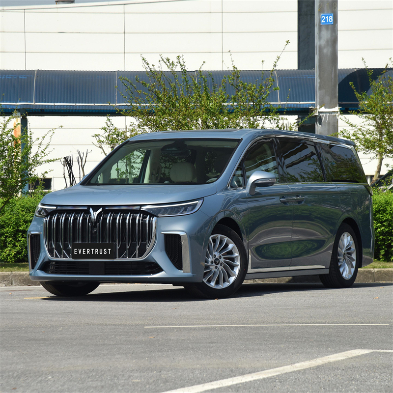 2023 New Voyah Dreamer Electric Vehicle Pure Energy MPV Car