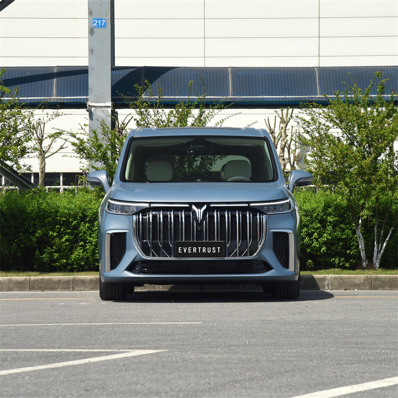 2023 New Voyah Dreamer Electric Vehicle Pure Energy MPV Car