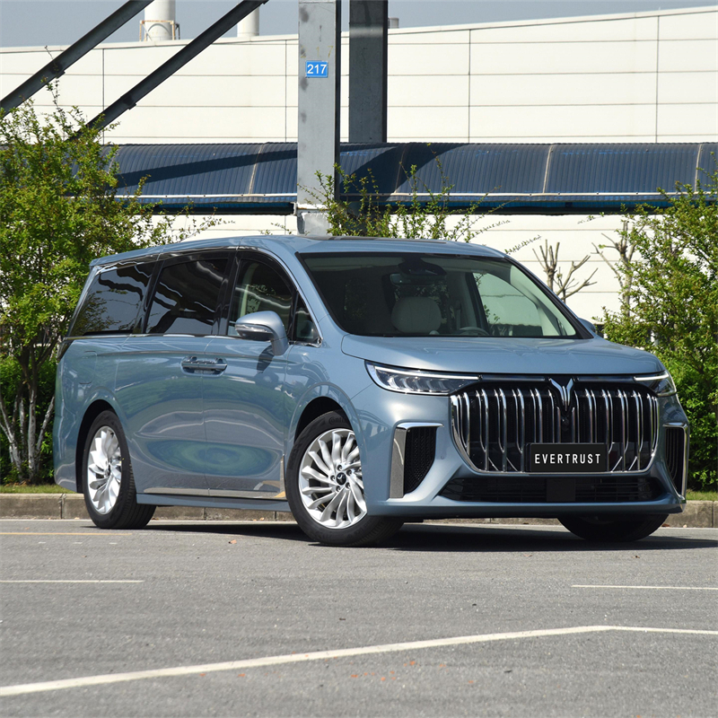 2023 New Voyah Dreamer Electric Vehicle Pure Energy MPV Car