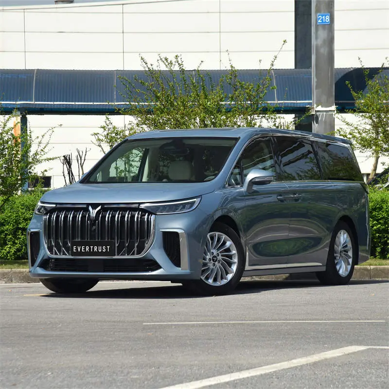 2023 New Voyah Dreamer Electric Vehicle Pure Energy Car