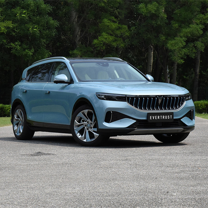 2023 Long Range Luxury Voyah Free New EV Car Pure Electric SUV Car