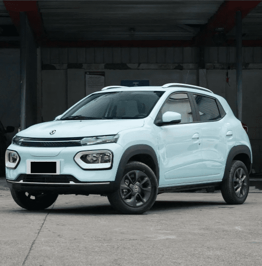 Electric Car Dongfeng Nanobox Electric Vehicle with Cheap Price with AC and Sunroof