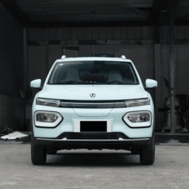 Electric Car Dongfeng Nanobox Electric Vehicle with Cheap Price with AC and Sunroof