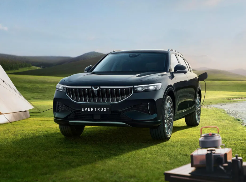 Electric Car Voyah Free New Energy Vehicle SUV Car with Good Price