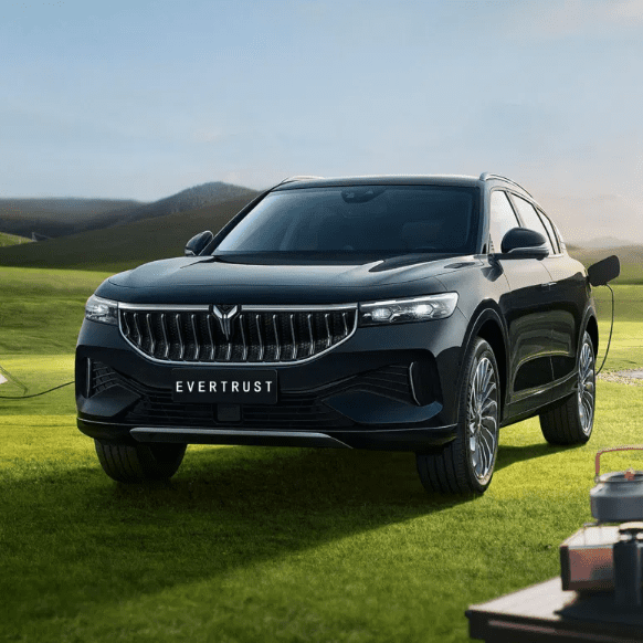 Electric Car Voyah Free New Energy Vehicle SUV Car with Good Price