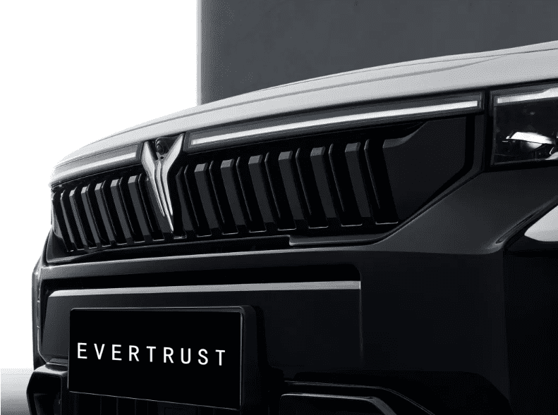 Electric Car Voyah Free New Energy Vehicle SUV Car with Good Price