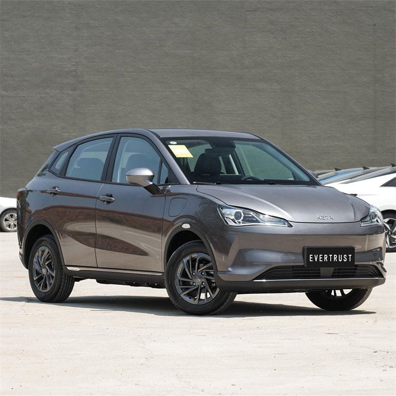 Fashion Pure New Electric Car Neta V Family SUV Electric Car