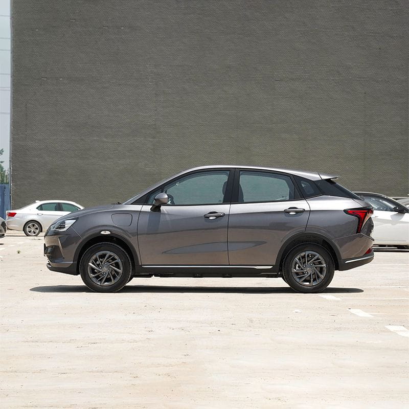 Fashion Pure New Electric Car Neta V Family SUV Electric Car