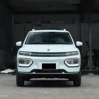 Electric Car Dongfeng Nanobox Electric Vehicle with Cheap Price with AC and Sunroof