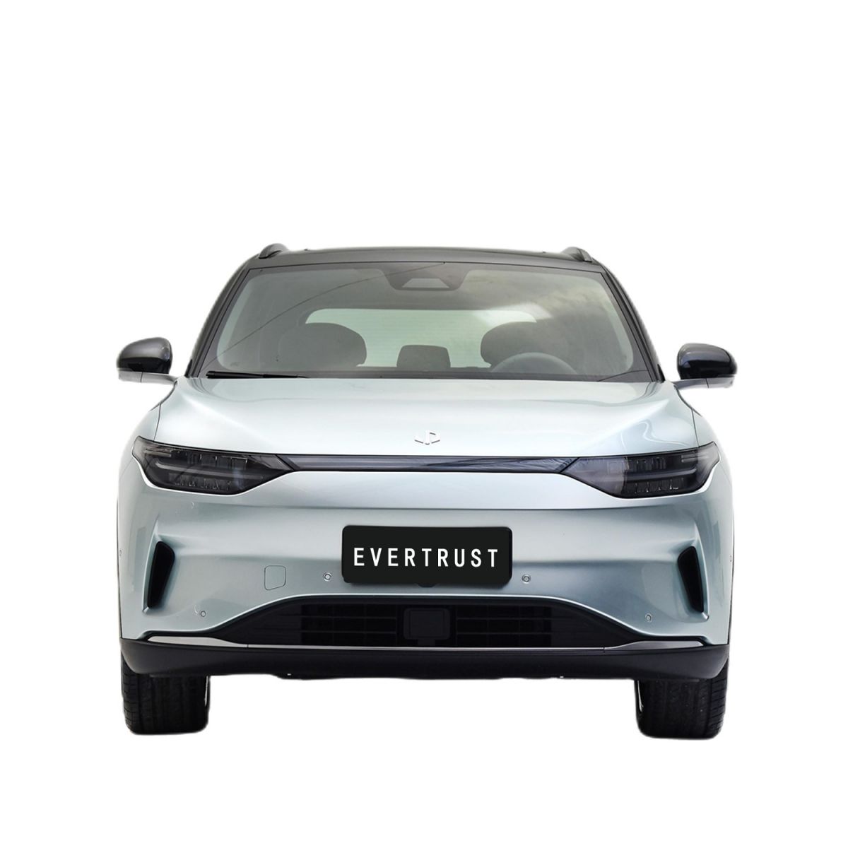 2023 Hot Sale Electric Vehicle Leapmotor C11 New Energy SUV Electric Car