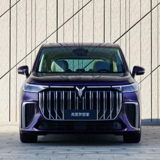 China Electric Car with Large Space Voyah Dreamer MPV EV High Speed Businiess Electric Car
