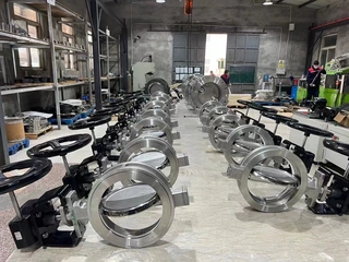 Butterfly Valve Workshop