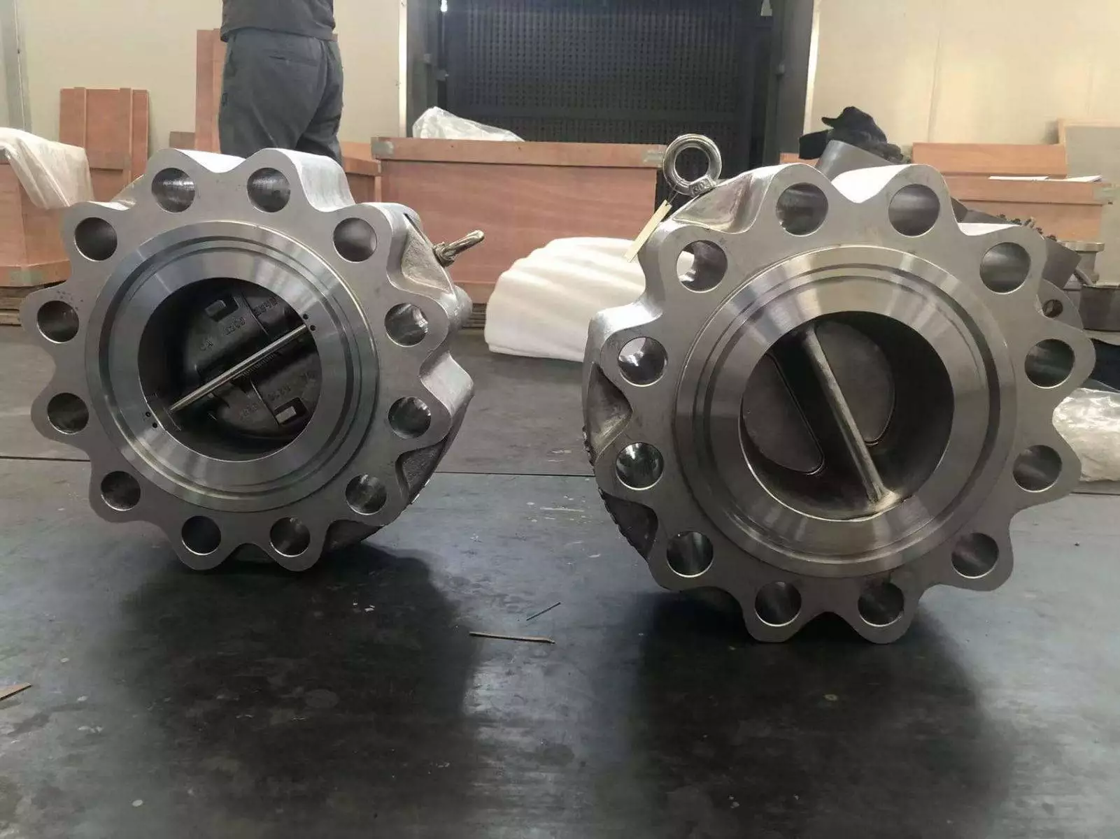 Dual Plate Check Valves