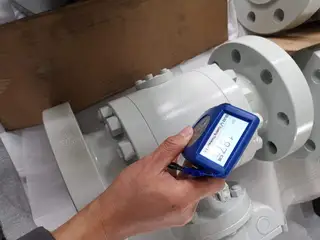Painting Inspection