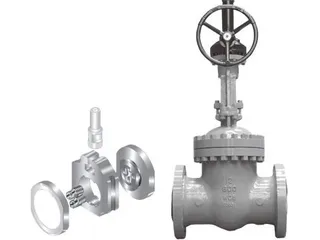 The Functionality of Spring Type Parallel Double Gate Valves