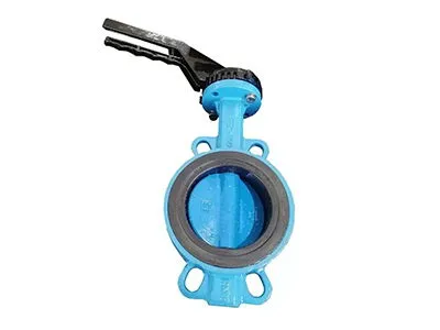 A Concise Guide to Soft-Seated Butterfly Valve