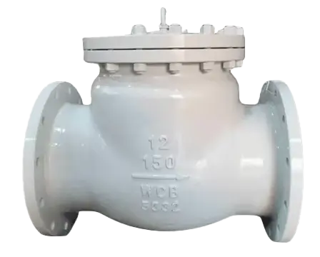 Swing Check Valve