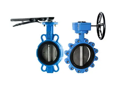 Wafer and Lug Butterfly Valve: How to Choose?