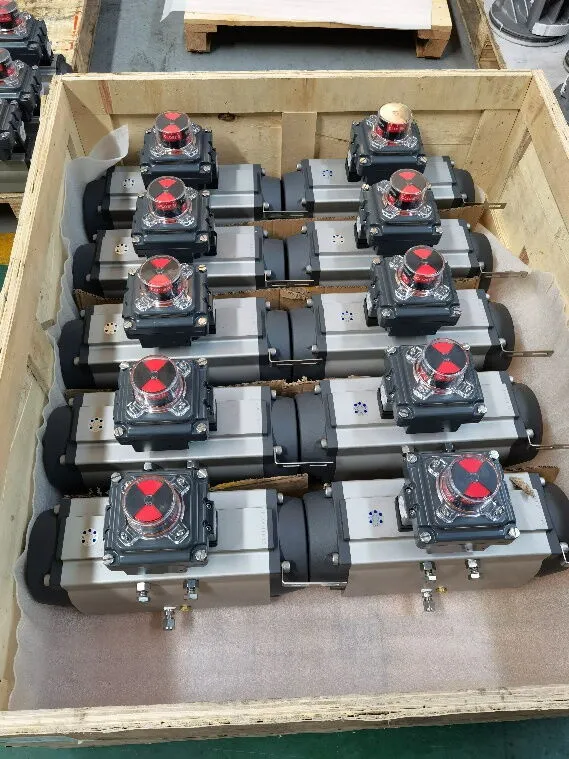 Rack and Pinion Pneumatic Actuators