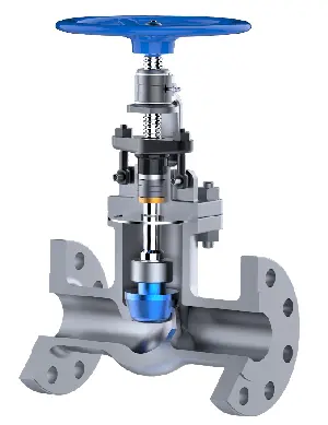 Globe Valve Cross Section