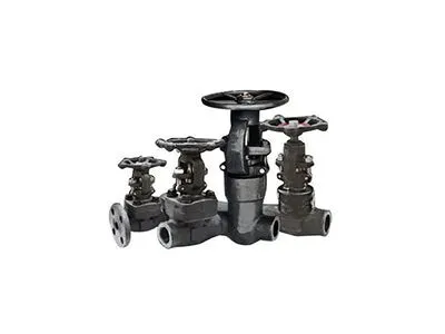 API Standard Valves: Overview and Applications