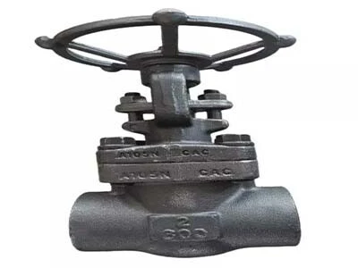 Resolving Common Issues of Forged Steel Gate Valves