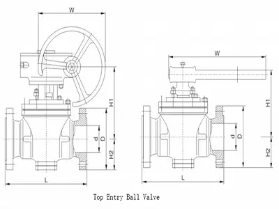 Top-entry Ball Valves Design