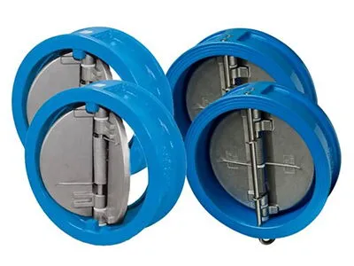 Key Features & Performance Benefits of Dual-Plate Check Valve