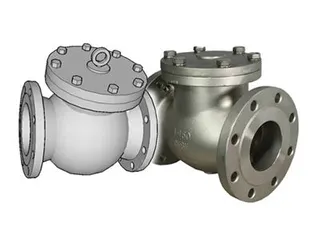 Design Principles and Optimization of Check Valves
