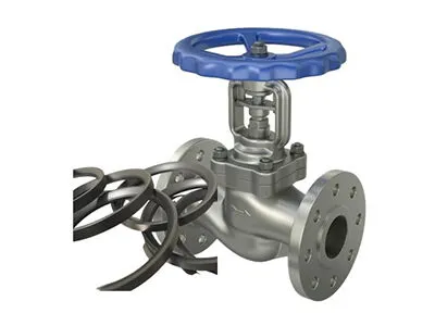 Industrial Valve Sealing Surface Wear and Repair