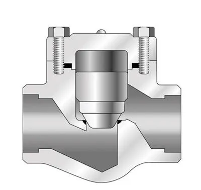 Lift Check Valve Cross Section