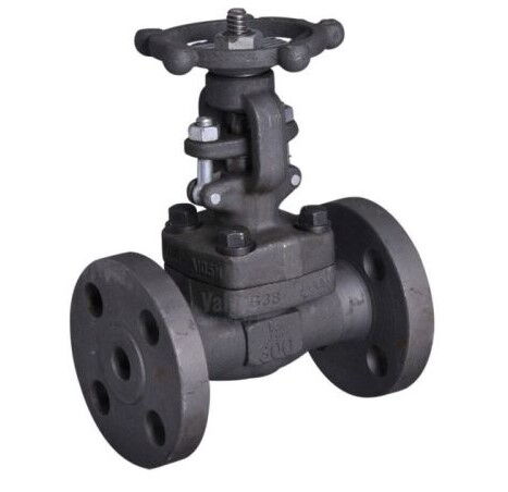 Forged Steel Globe Valve