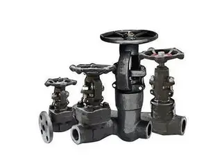 What is Forged Steel Globe Valve