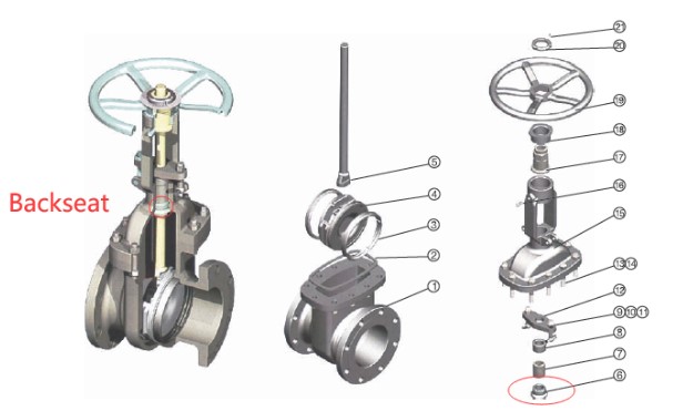 Backseat in Gate Valve