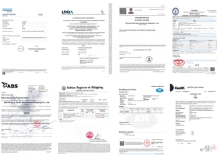 Marine Valves Certifications by IACS Members