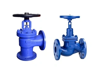 How to Choose Between Straight-Through and Angle Globe Valves