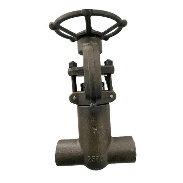 Válvula de compuerta ASTM A182F11, API 602, ASME B16.34, 1 pulgada, 2500 libras