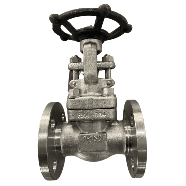ASTM A182 F304 Задвижка, API 602, 1 дюйм, 150 фунтов, RF - Bosseal