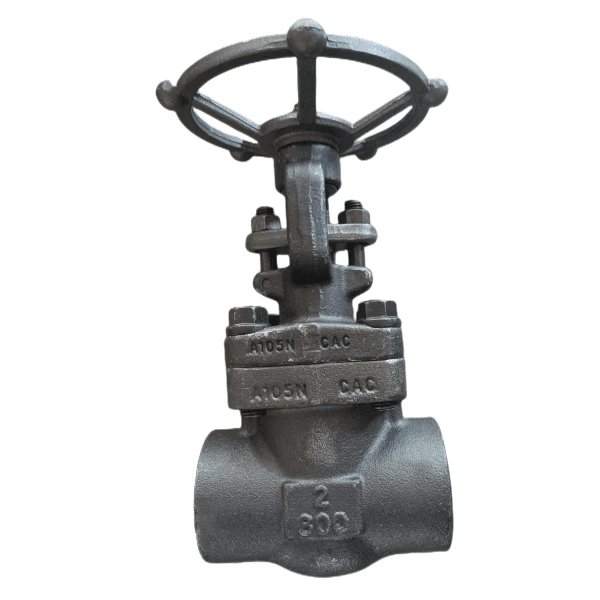 Stainless Steel Gate Valve, F316, API 602, 3/4 Inch, 800 LB - Bosseal