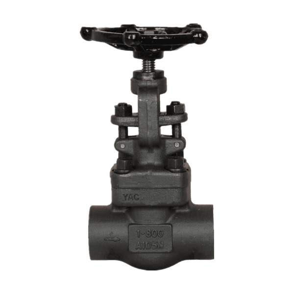 API 602 Globe Valve, ASTM A105N, 1/2 Inch, 150 LB