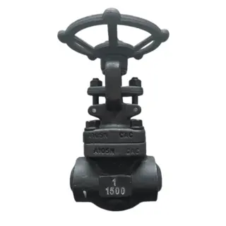 ASTM A105 Gate Valve, 1/2 Inch, 1500 LB, API 602, BW