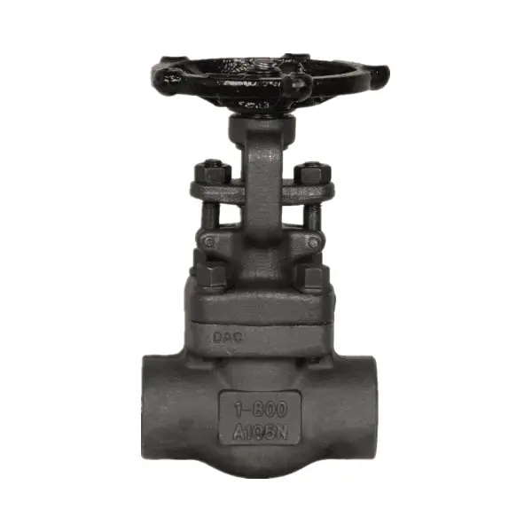 API 602 Gate Valve, ASTM A182 F51, 1/2 Inch, 900 LB