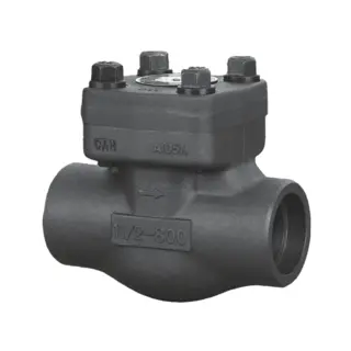 API 602 Piston Check Valve, ASTM A350 LF2, 1/2 Inch, 2500 LB