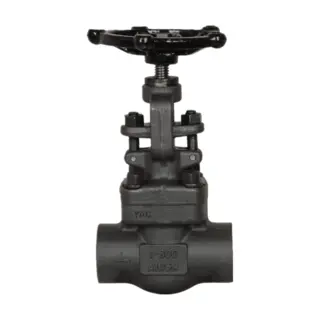 API 602 Globe Valve, ASTM A350 LF2, 1 Inch, 150 LB