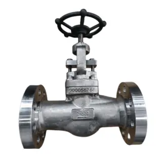ASTM A182 F51 Globe Valve, ASME B16.34, 2 Inch, 600 LB, RF