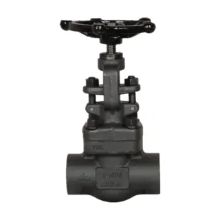 ASTM A105N Forged Globe Valve, API 602, 1 Inch, 800 LB, SW